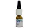 Rhinocort Nasal Spray